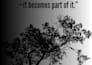 design eye catching social media quotes